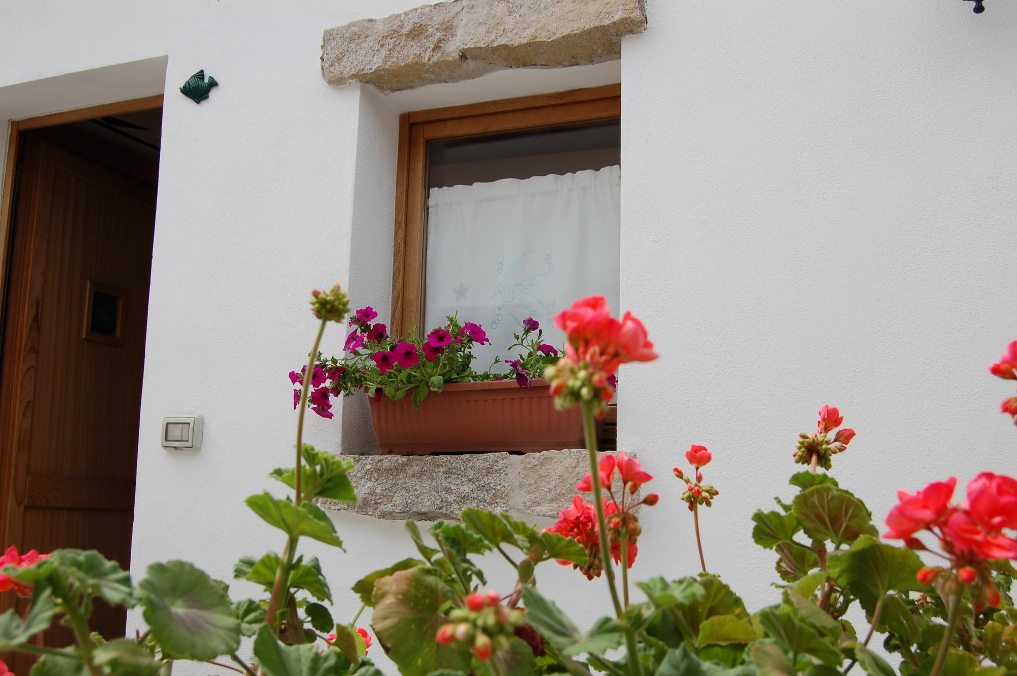 Olbia Domus Inn Exterior photo